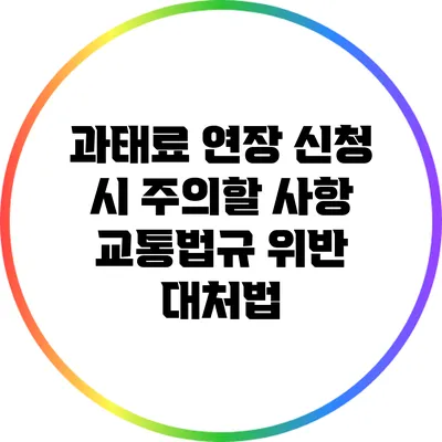 과태료 연장 신청 시 주의할 사항: 교통법규 위반 대처법