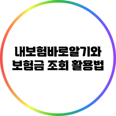 내보험바로알기와 보험금 조회 활용법