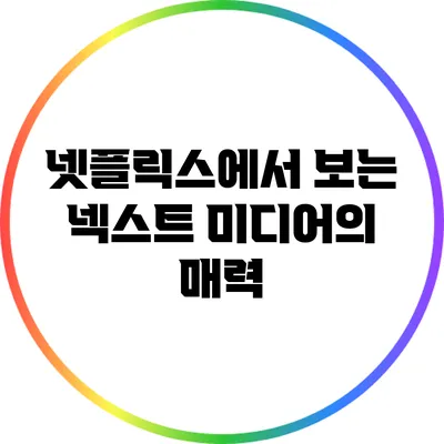 넷플릭스에서 보는 넥스트 미디어의 매력