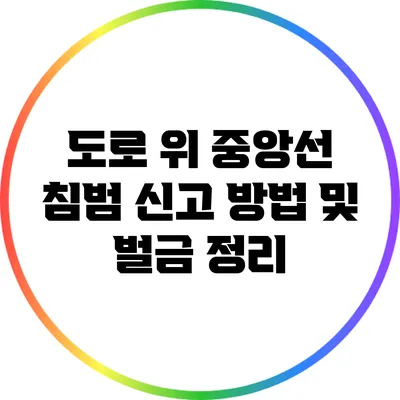 도로 위 중앙선 침범 신고 방법 및 벌금 정리