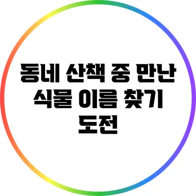 동네 산책 중 만난 식물: 이름 찾기 도전