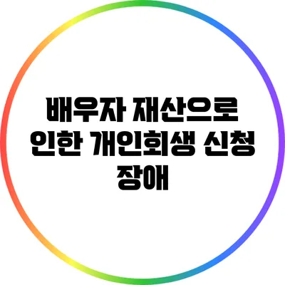 배우자 재산으로 인한 개인회생 신청 장애