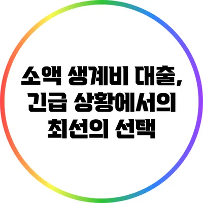 소액 생계비 대출, 긴급 상황에서의 최선의 선택