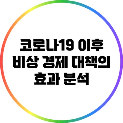 코로나19 이후 비상 경제 대책의 효과 분석