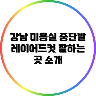 강남 미용실: 중단발 레이어드컷 잘하는 곳 소개