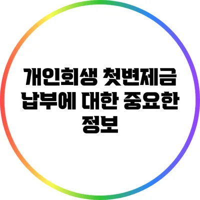 개인회생 첫변제금 납부에 대한 중요한 정보