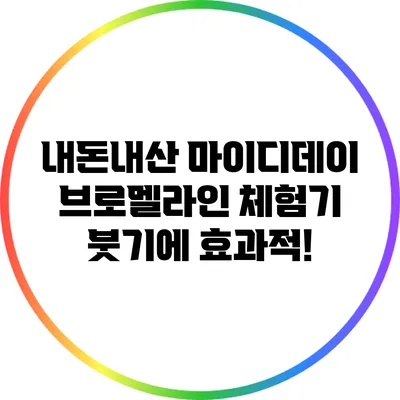 내돈내산 마이디데이 브로멜라인 체험기: 붓기에 효과적!