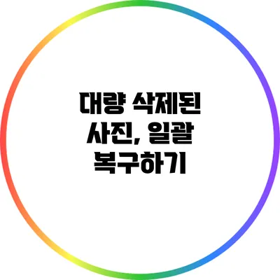 대량 삭제된 사진, 일괄 복구하기