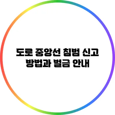 도로 중앙선 침범 신고 방법과 벌금 안내