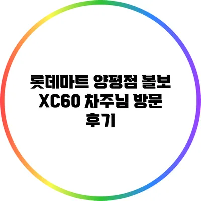 롯데마트 양평점: 볼보 XC60 차주님 방문 후기