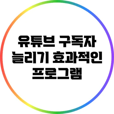 유튜브 구독자 늘리기 효과적인 프로그램