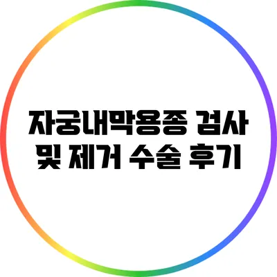 자궁내막용종 검사 및 제거 수술 후기