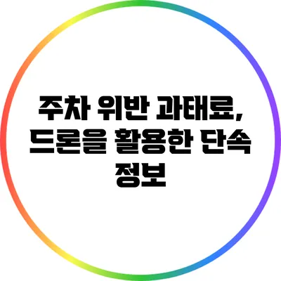 주차 위반 과태료, 드론을 활용한 단속 정보