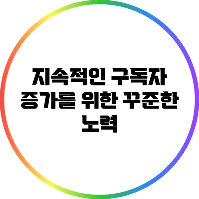 지속적인 구독자 증가를 위한 꾸준한 노력