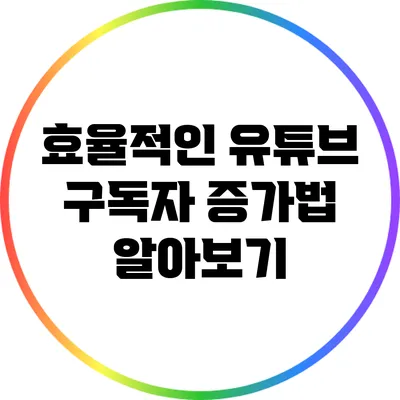 효율적인 유튜브 구독자 증가법 알아보기