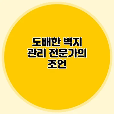 도배한 벽지 관리: 전문가의 조언