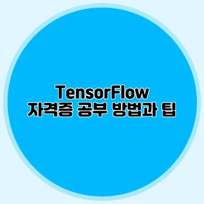 TensorFlow 자격증 공부 방법과 팁