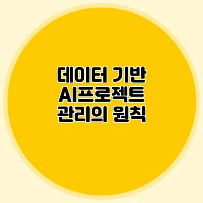 데이터 기반 AI프로젝트 관리의 원칙