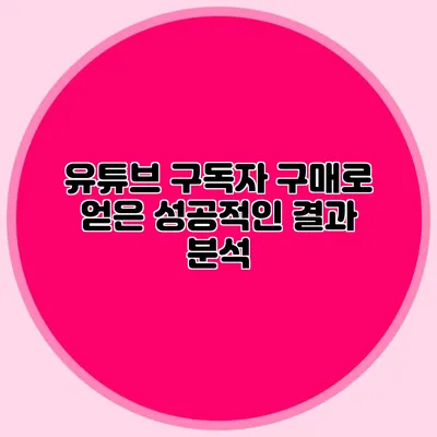 유튜브 구독자 구매로 얻은 성공적인 결과 분석